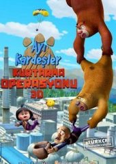 Ayı Kardeşler Kurtarma Operasyonu