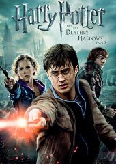 Harry Potter ve Ölüm Yadigarları 2