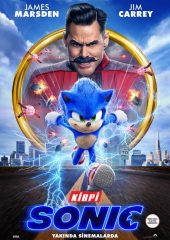 Kirpi Sonic