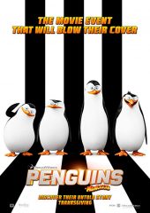 Madagaskar Penguenleri