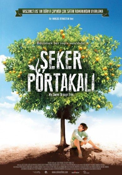 Şeker Portakalı