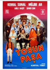 Tosun Paşa