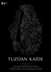 Tuzdan Kaide