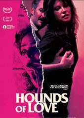 Hounds of Love